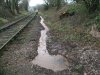 DSCF3086.JPG