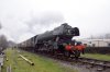 60103-04d.jpg