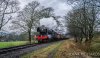 DSC_2733-0.jpg