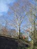 DSCF3096.JPG