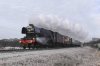 DSC_10543.jpg
