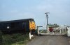 img892 - Copy.jpg