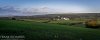 DSC_3731-0.jpg