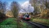 DSC_3703-0.jpg
