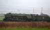 DSC_0140.JPG