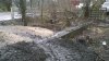 WP_20160131_16_05_26_Pro.jpg
