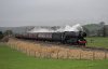 60103 2b.jpg
