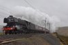 60103-04dd.jpg