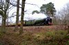 2016-02-06 Tornado Worplesdon.jpg