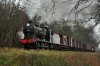 20160213-Q_Chawton Woods_01.jpg