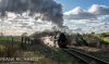 DSC_4542-0.jpg