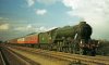 19590000-A3 60077 The White Knight Grantham on up express.jpg