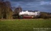 DSC_4965-0.jpg