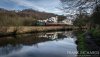 DSC_4815k-0.jpg