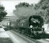 34067 Pluckley0001.jpg