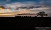 DSC_5267-0.jpg