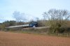 DSC_0362.jpg