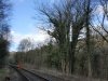 DSCF3136.JPG