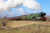 IMG_8870lr2.jpg