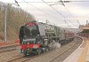 IMG_8901-1lr.jpg