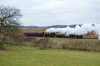 DSC_0137.jpg