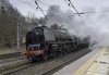 46233 LE 1b.jpg