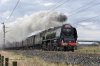 DSC_11909.jpg