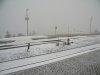 101_0452 resize.jpg