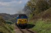 RN4600.jpg