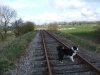 DSCF3245a.jpg