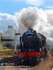 46100 Newton Abbot.001.jpg