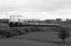 DSCF4475.JPG