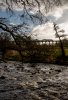 DSC_5537 44871 GB9 Culloden Viaduct 030516.JPG