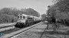 D6515 Harmans.001.jpg