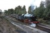 600 Liss Forest 28-09-68.jpg