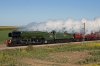 IMG_6319-1000web.jpg