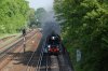 Tooting Bec common 2.jpg