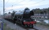 FS 20.05.16 Harringay.JPG