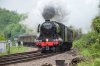 flying scotsman 01 sm.jpg