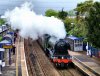 60103 Theale 21-05-16 (1).JPG