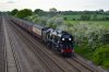 DSC_0560.jpg