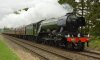 DSC_3288-crop.JPG