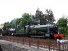 SDC16041.JPG