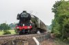 flying_scotsman_mortimer_sm.jpg