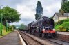 9f Med 30-5-16.JPG
