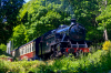 DSC_0984 (1).png