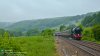 60103 West Dorking.001.jpg