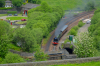 DSC_0183.png