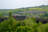 DSC_0175.png