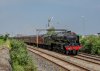 DSC_5646 46115 Mostyn 080616.JPG